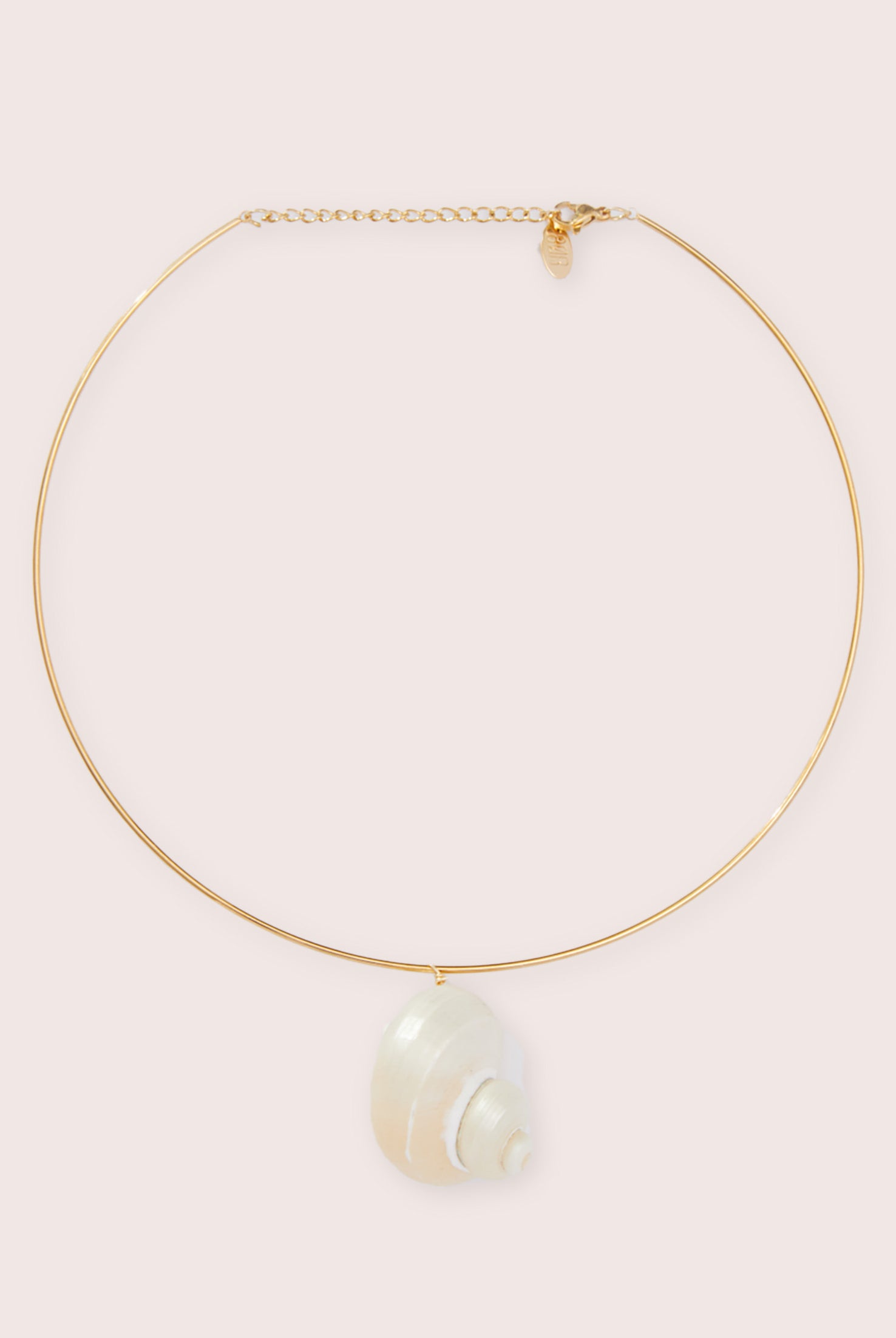 A gold necklace with shell detailing against a white wall.
