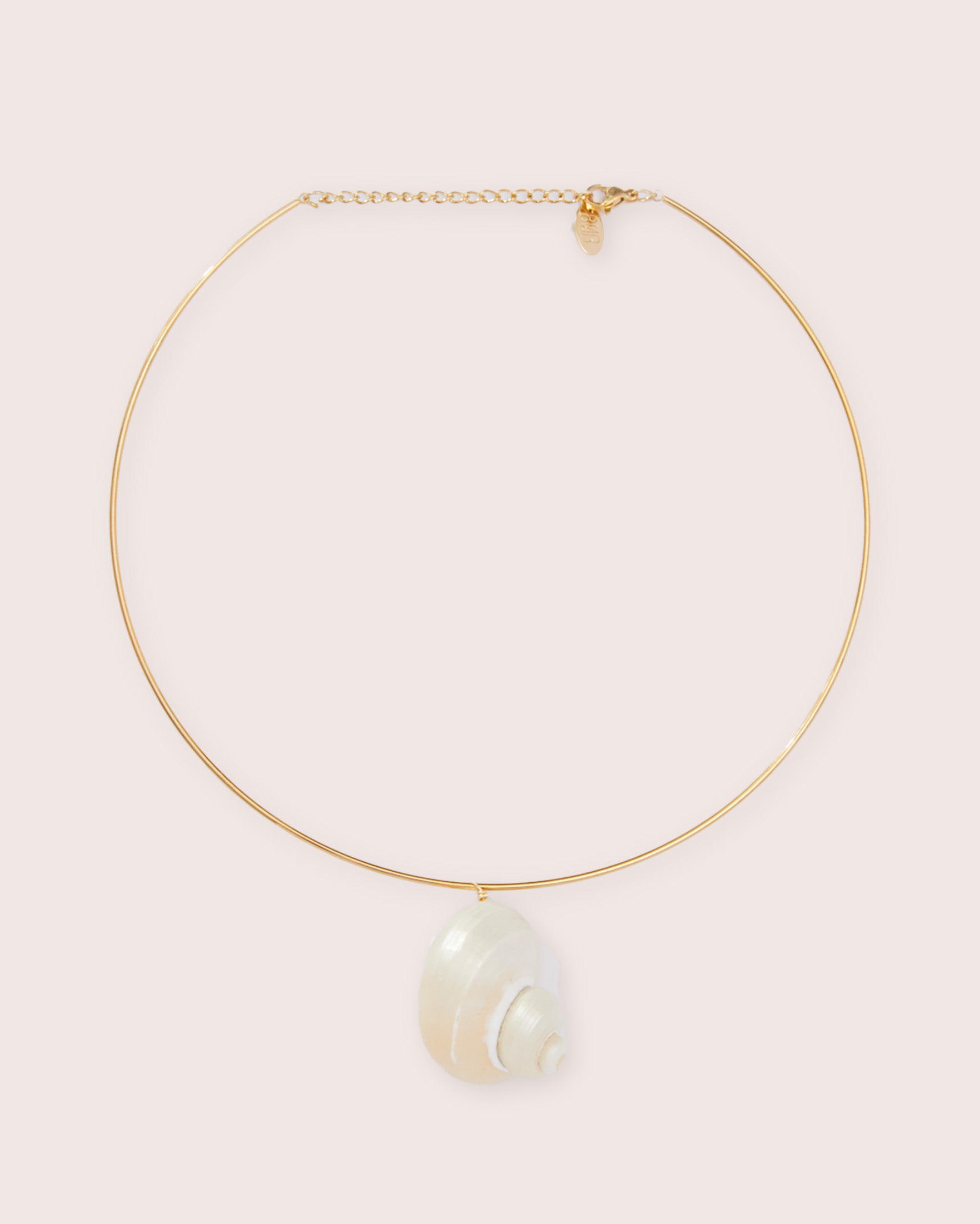 A gold necklace with shell detailing against a white wall.